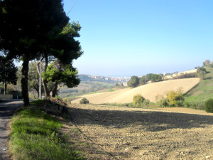 Ancona Marche